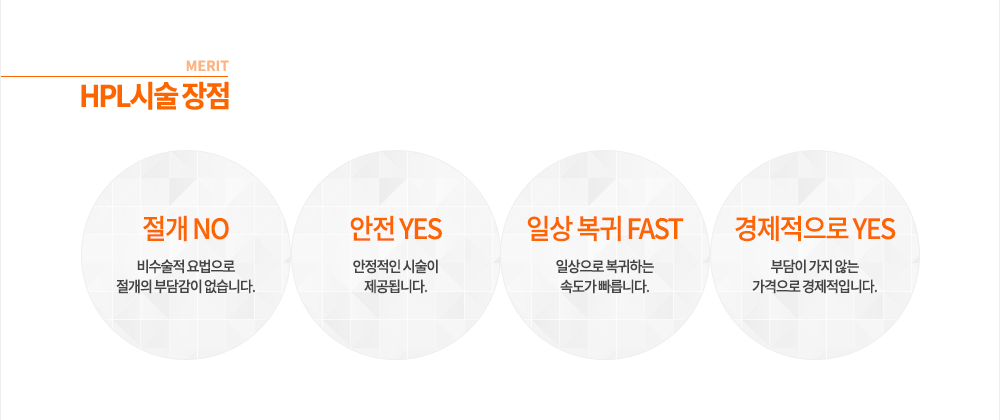 HPL�ü� ���� ���� NO, ���� YES, �ϻ� ���� FAST, ���������� YES
-������� ������� ������ �δ㰨�� �����ϴ�.
-�������� �ü��� �����˴ϴ�.
-�ϻ����� �����ϴ� �ӵ��� �����ϴ�.
-�δ��� ���� ���� �������� �������Դϴ�.
