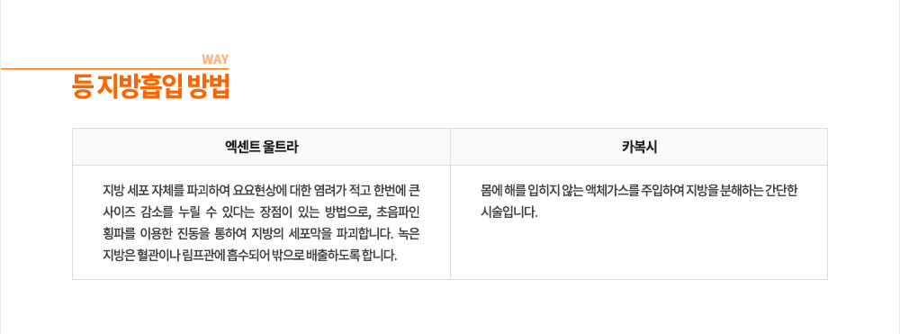 ���� ���
-����Ʈ ��Ʈ��
���� ���� ��ü�� �ı��Ͽ� ������� ���� ������ ���� �ѹ��� ū ������ ���Ҹ� ���� �� �ִٴ� ������ �ִ� �������, �������� Ⱦ�ĸ� �̿��� ������ ���Ͽ� ������ �������� �ı��մϴ�. ���� ������ �����̳� �������� �����Ǿ� ������ �����ϵ��� �մϴ�.
-ī����
���� �ظ� ������ �ʴ� ��ü������ �����Ͽ� ������ �����ϴ� ������ �ü��Դϴ�.
