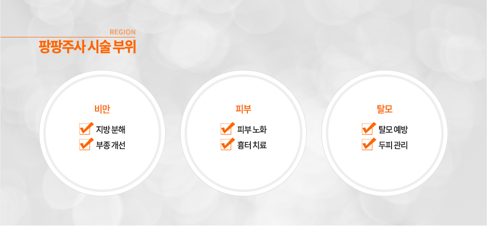 팡팡주사 시술 부위
비만:지방 분해, 부종 개선
피부:피부 노화, 흉터 치료
탈모:탈모 예방, 두피 관리
