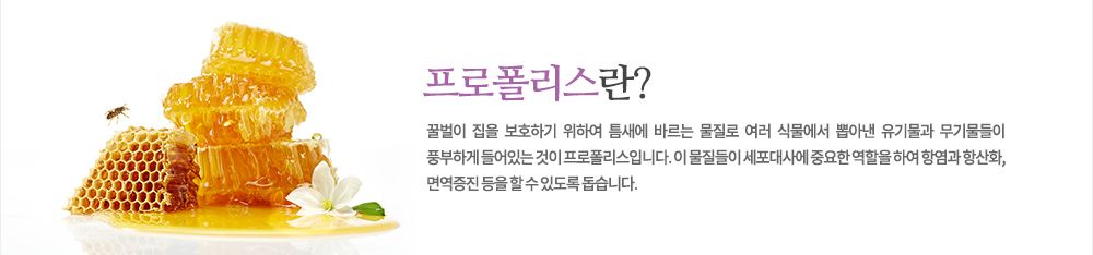특징
꿀벌이 집을 보호하기 위하여 틈새에 바르는 물질로 여러 식물에서 뽑아낸 유기물과 무기물들이 풍부하게 들어있는 것이 프로폴리스입니다. 이 물질들이 세포대사에 중요한 역할을 하여 항염과 항산화, 면역증진 등을 할 수 있도록 돕습니다.
